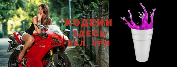 стаф Гусь-Хрустальный