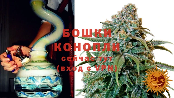 стаф Гусь-Хрустальный