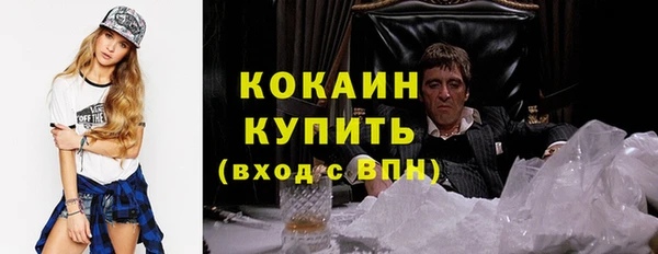 шишки Сосновка