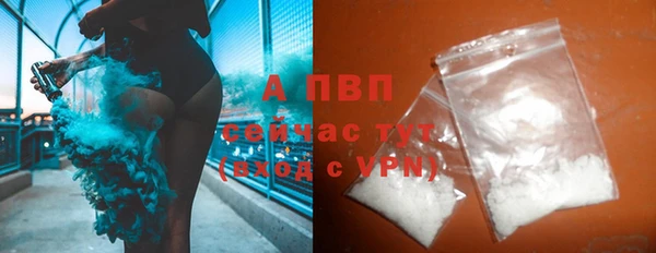 стаф Гусь-Хрустальный