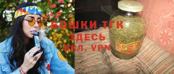 стаф Гусь-Хрустальный
