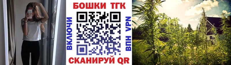 omg зеркало  купить закладку  Плёс  Марихуана сатива 